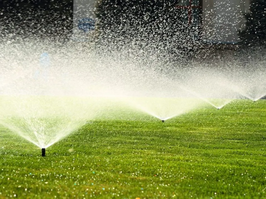 Sprinkler heads watering a lawn